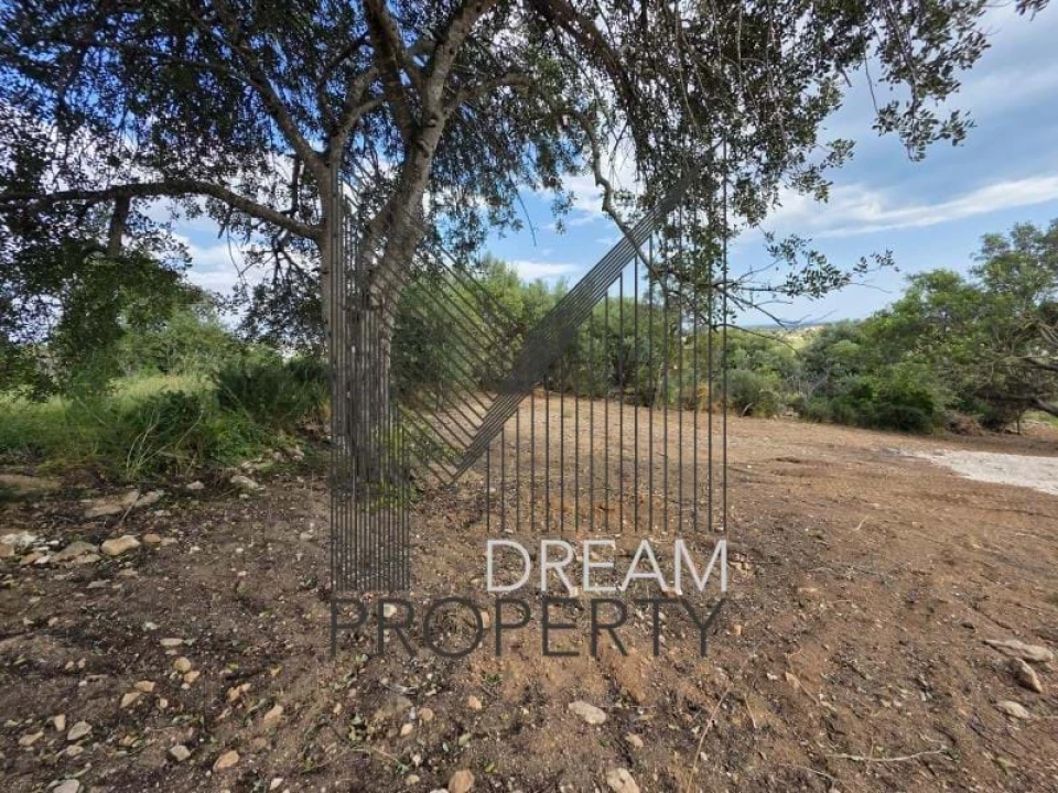 Terreno para Venda em Boliqueime Foto 26