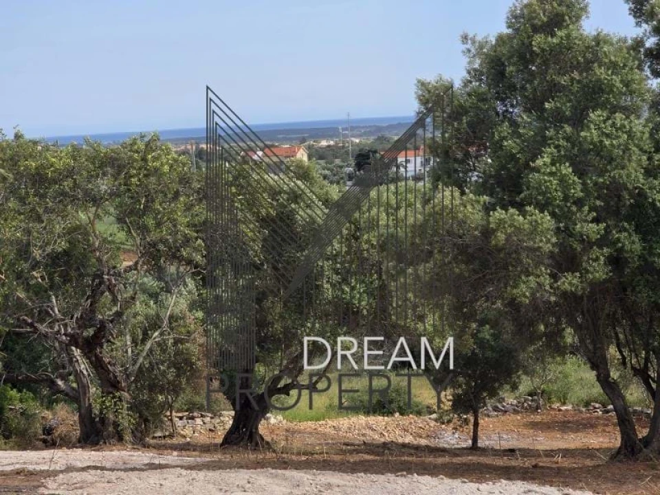 Terreno para Venda em Boliqueime Foto 17