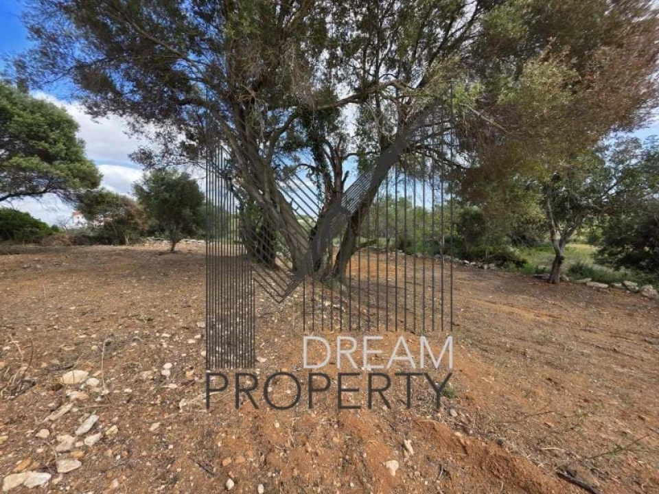 Terreno para Venda em Boliqueime Foto 20