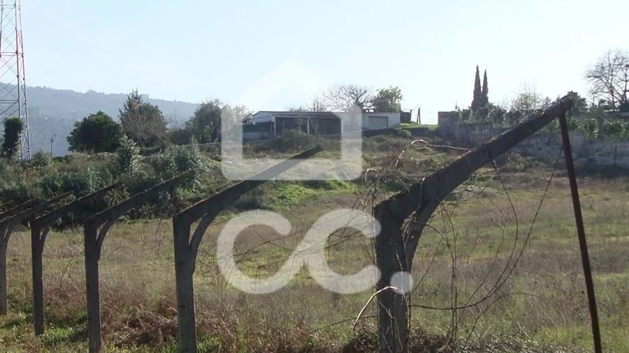 Terreno para Venda em Areias, Sequeirô, Lama e Palmeira