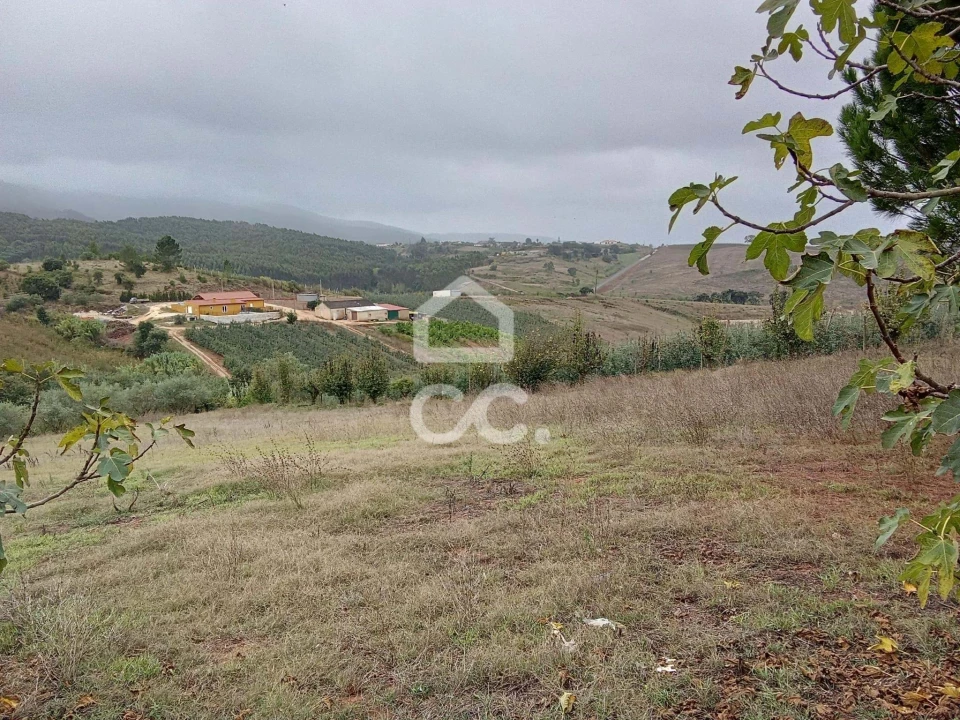 Terreno para Venda em Lamas e Cercal Foto 6