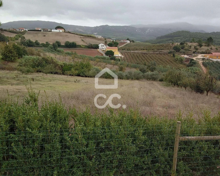 Terreno para Venda em Lamas e Cercal Foto 1