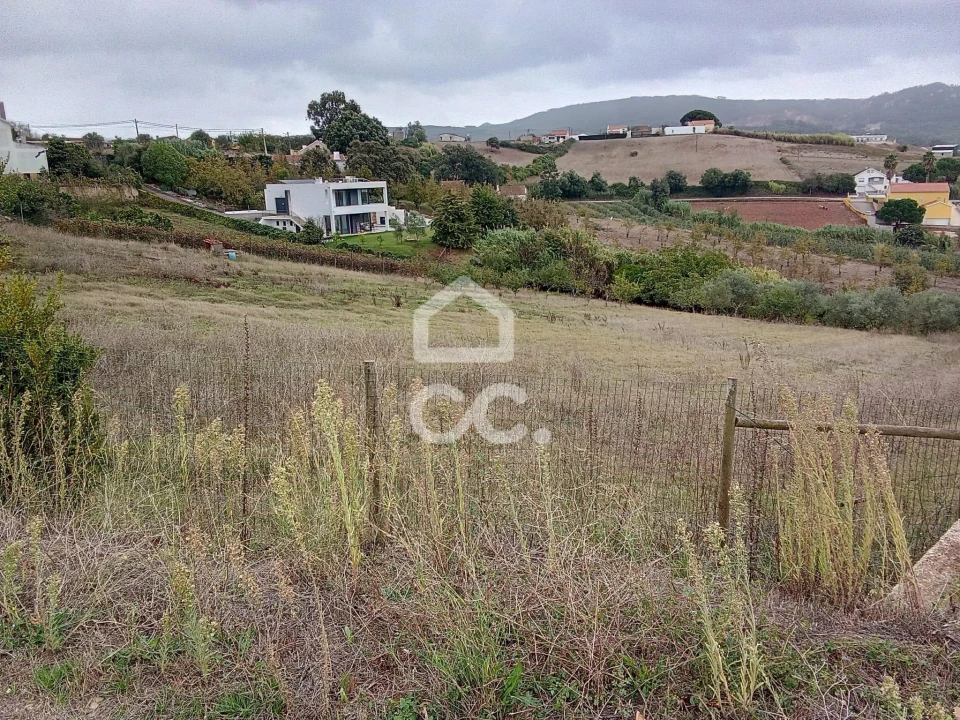 Terreno para Venda em Lamas e Cercal Foto 2