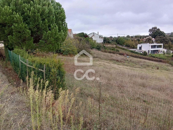 Terreno para Venda em Lamas e Cercal Foto 3