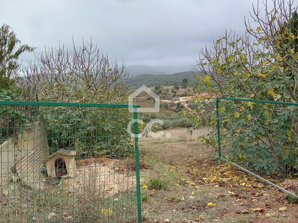 Terreno para Venda em Lamas e Cercal Foto 5