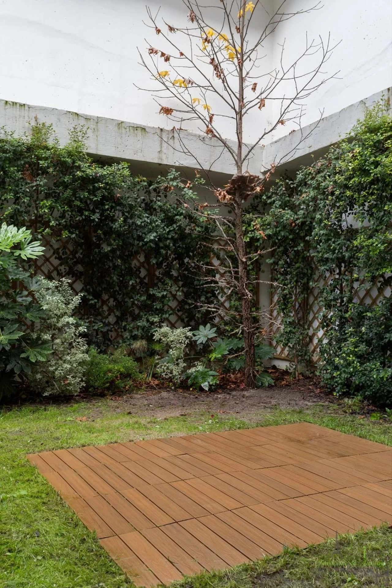 Apartamento T1 para Venda em Estrela Foto 4