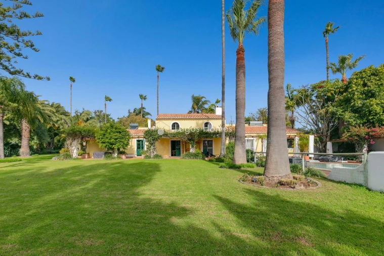 Moradia T7 para Venda em Mexilhoeira Grande Foto 48