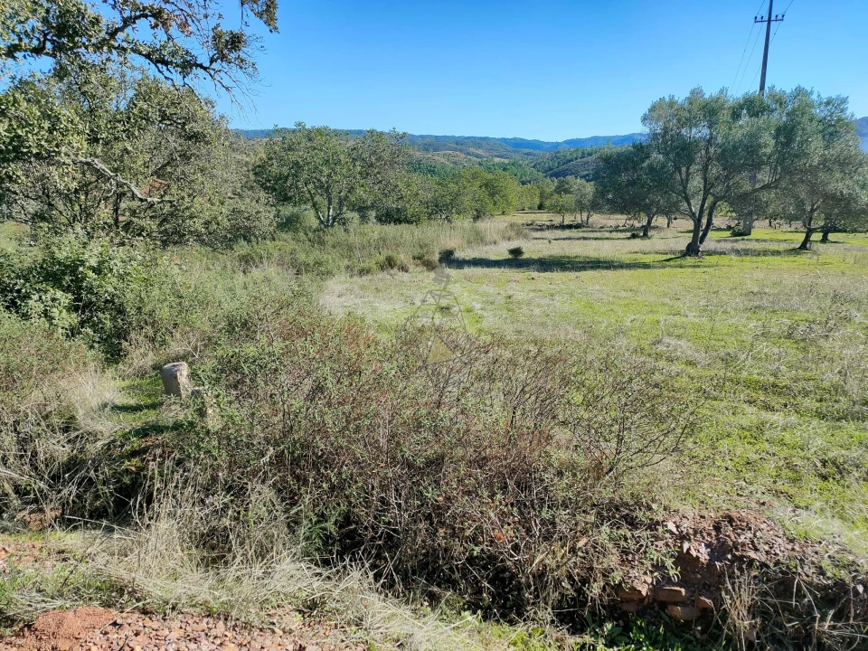 Terreno para Venda em Salir Foto 6