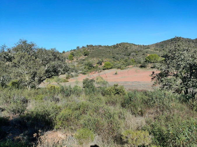 Terreno para Venda em Salir Foto 9