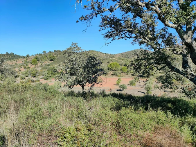 Terreno para Venda em Salir Foto 8