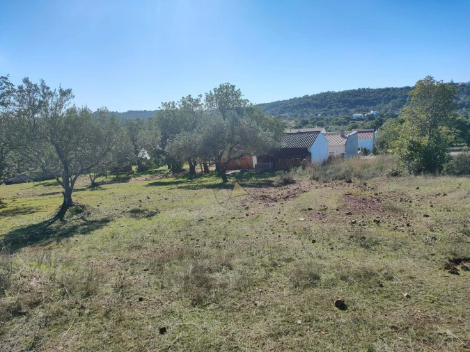 Terreno para Venda em Salir Foto 3