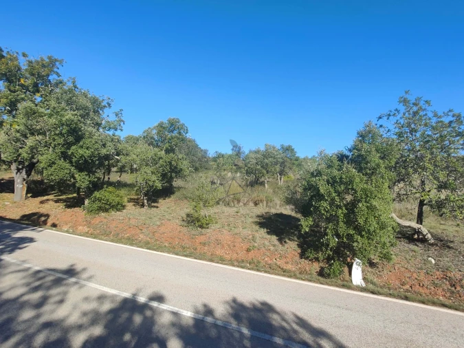 Terreno para Venda em Salir Foto 2