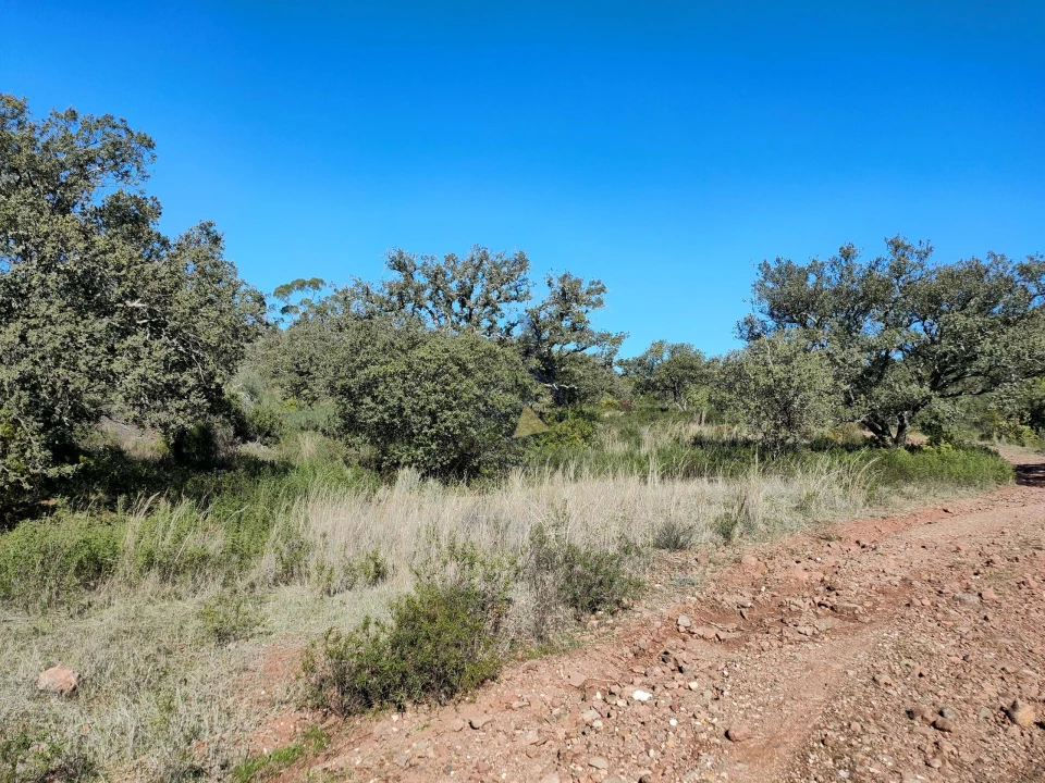 Terreno para Venda em Salir Foto 11