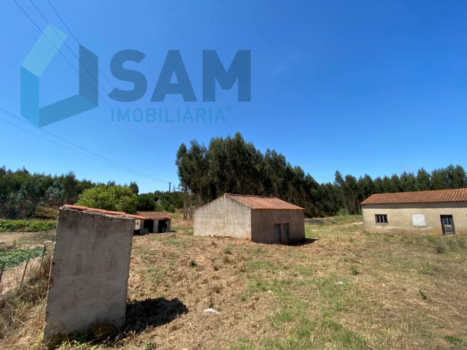 Terreno Agricola ou Rústico para Venda em Campelos e Outeiro da Cabeça Foto 3