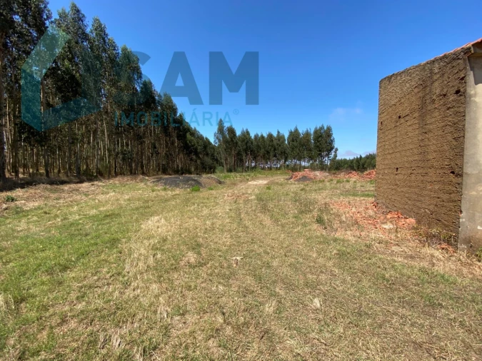 Terreno Agricola ou Rústico para Venda em Campelos e Outeiro da Cabeça Foto 8