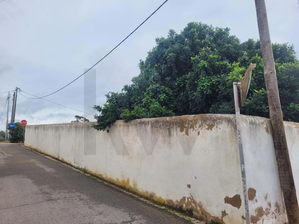 Terreno para Venda em São Silvestre Foto 11