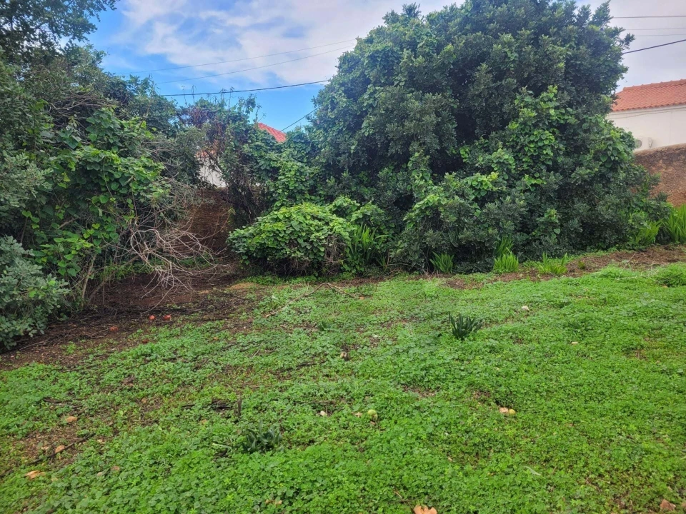 Terreno para Venda em São Silvestre Foto 3