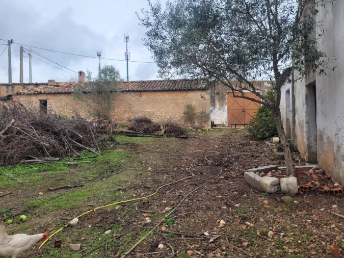 Terreno para Venda em São Silvestre Foto 7