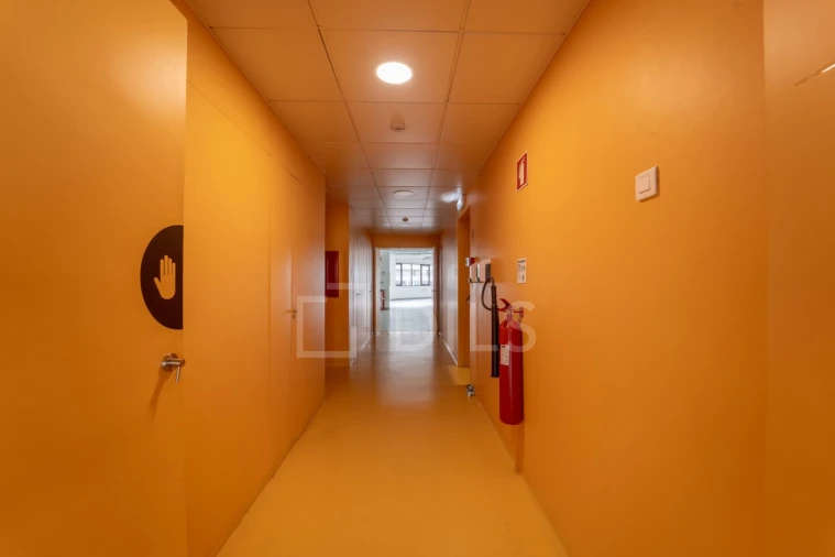 Prédio para Arrendamento em Cedofeita, Santo Ildefonso, Sé, Miragaia, São Nicolau e Vitória Foto 13