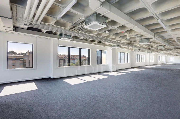 Escritório para Arrendamento em São Domingos de Benfica Foto 2