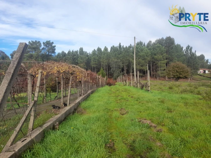 Terreno para Venda em Sertã