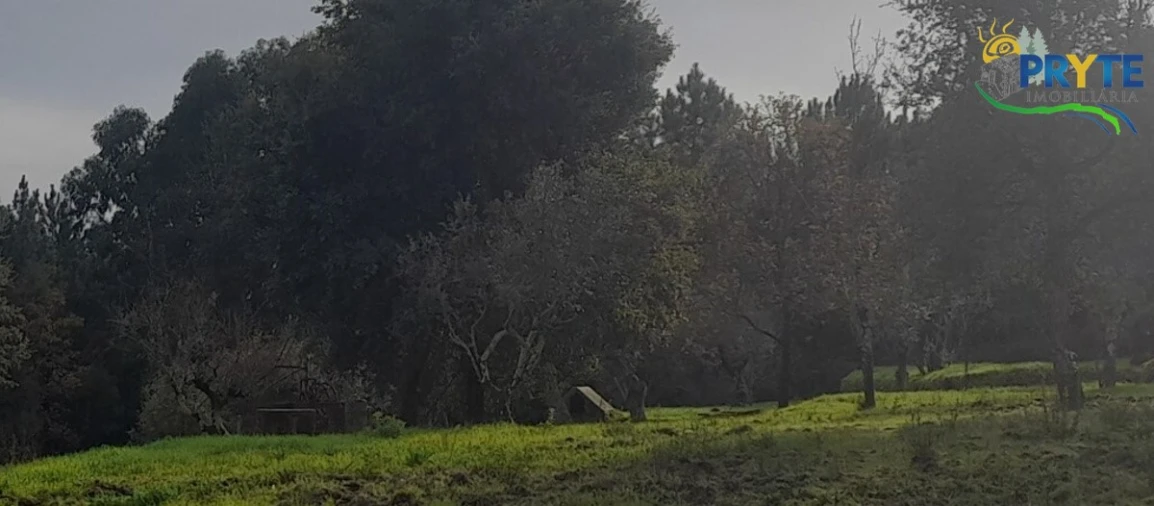 Terreno para Venda em Sertã Foto 4