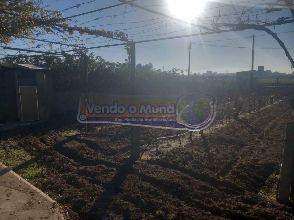 Terreno para Venda em Benavente Foto 8
