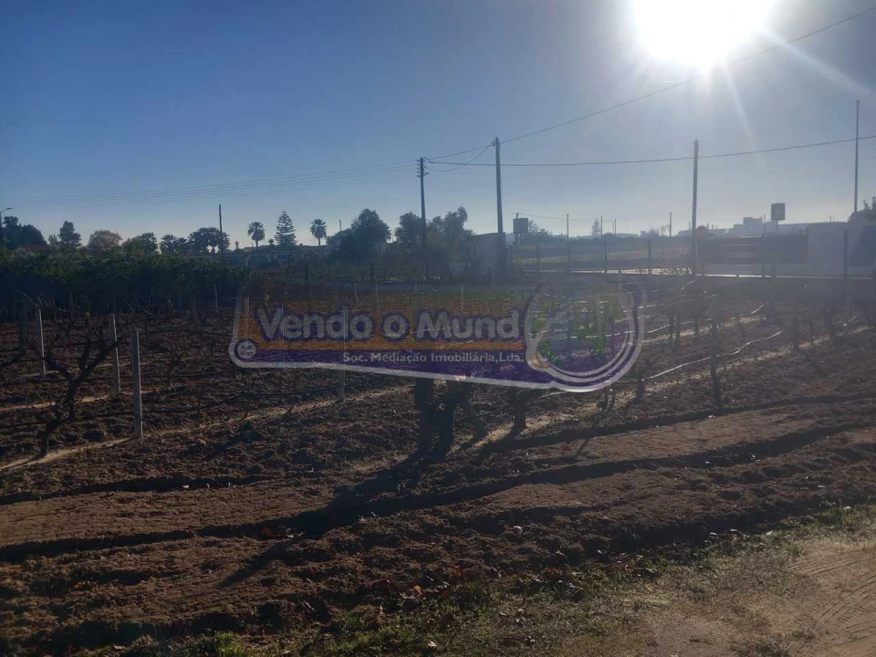 Terreno para Venda em Benavente Foto 7