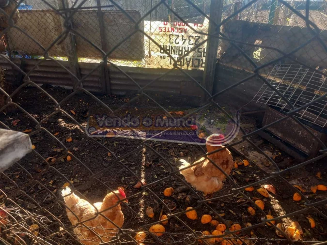 Terreno para Venda em Benavente Foto 17