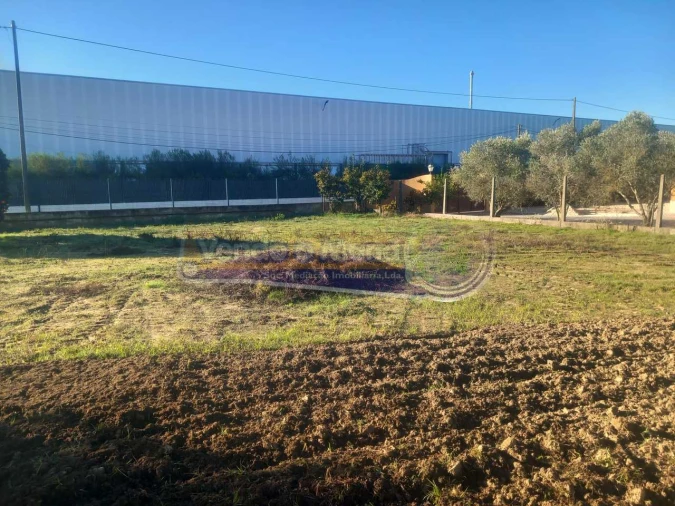 Terreno para Venda em Benavente Foto 9