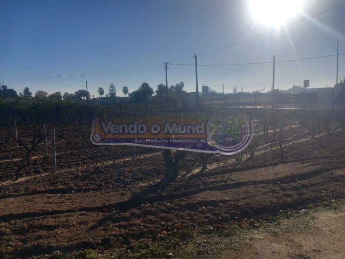 Terreno para Venda em Benavente Foto 7