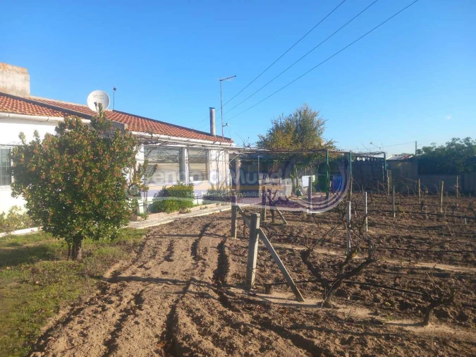 Terreno para Venda em Benavente Foto 1