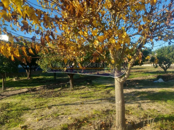 Terreno para Venda em Benavente Foto 4