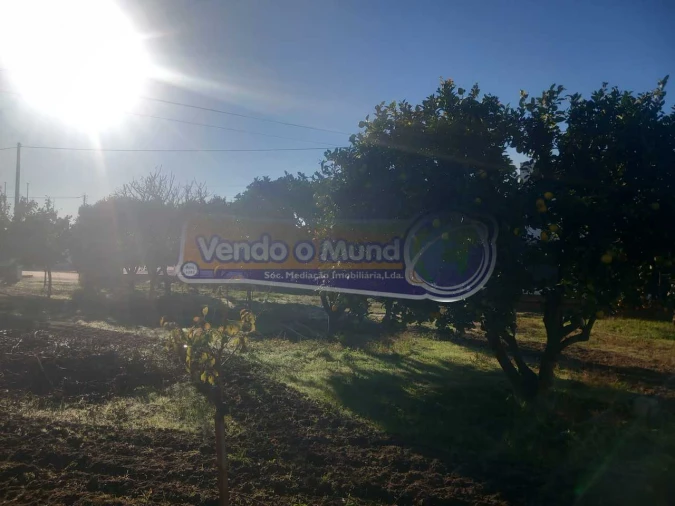 Terreno para Venda em Benavente Foto 5