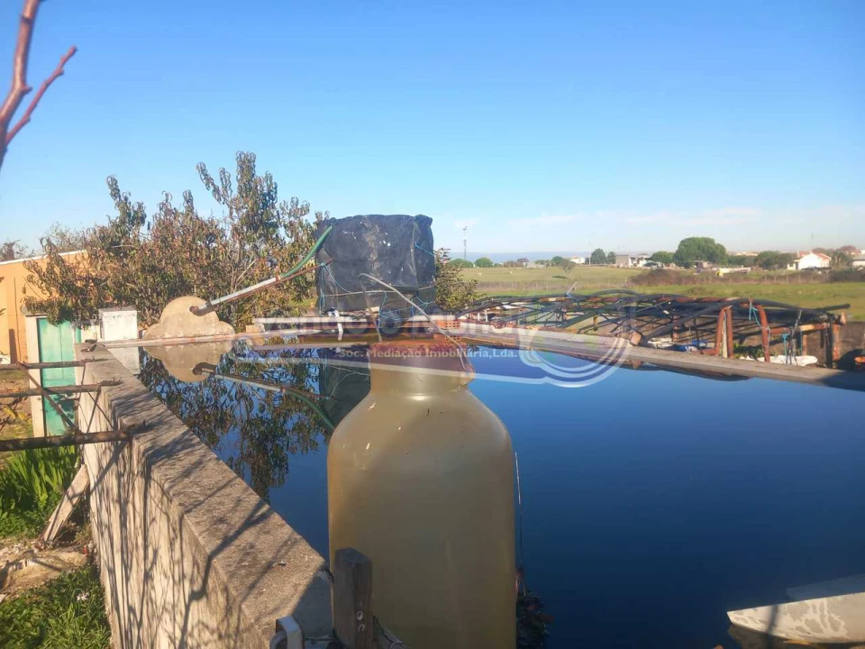 Terreno para Venda em Benavente Foto 10