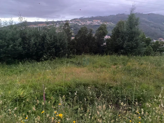 Terreno para Venda em Ceira Foto 10