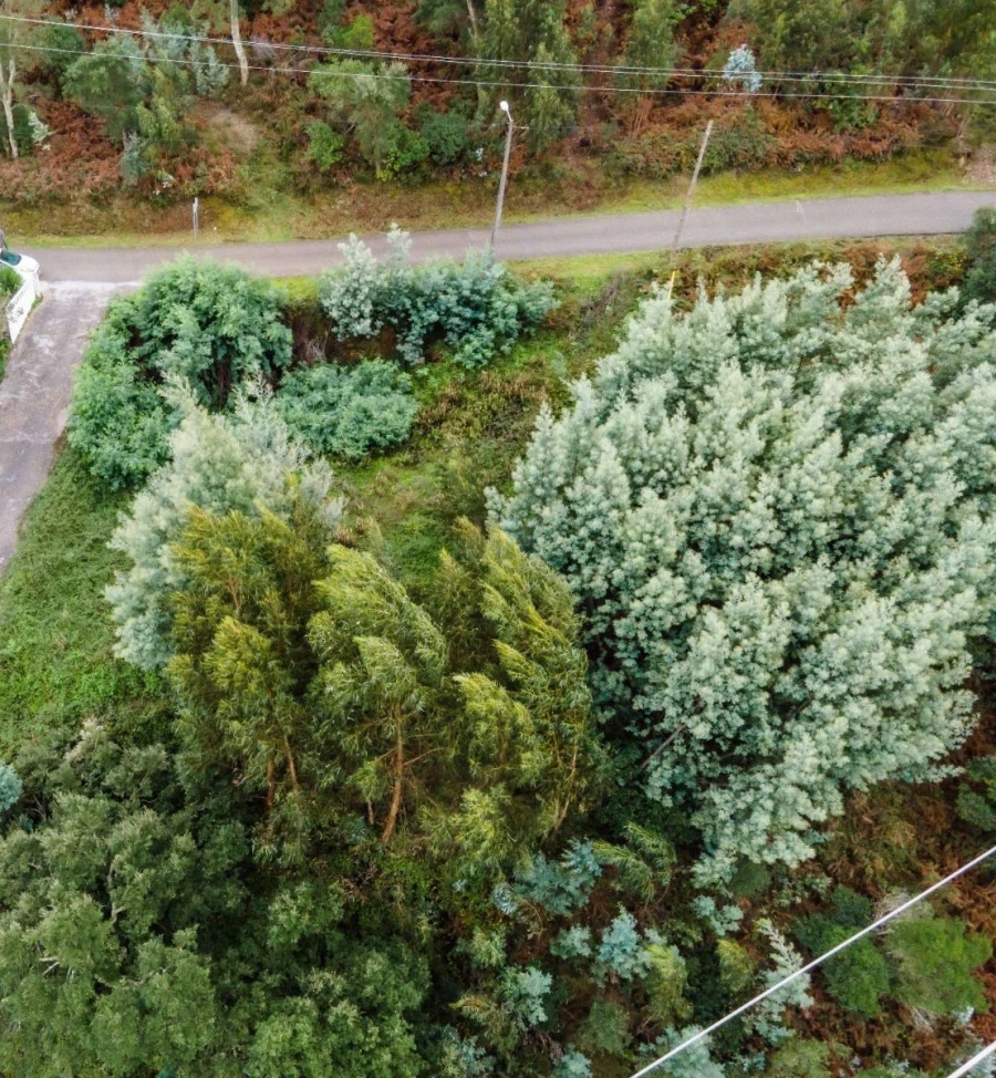 Terreno para Venda em Ceira Foto 13