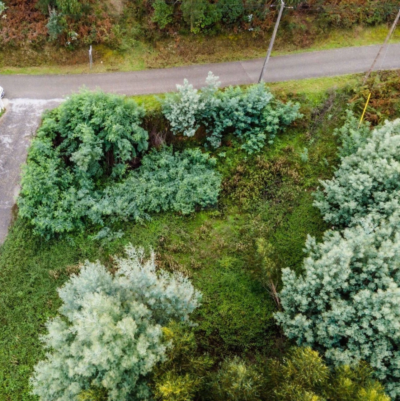 Terreno para Venda em Ceira Foto 12