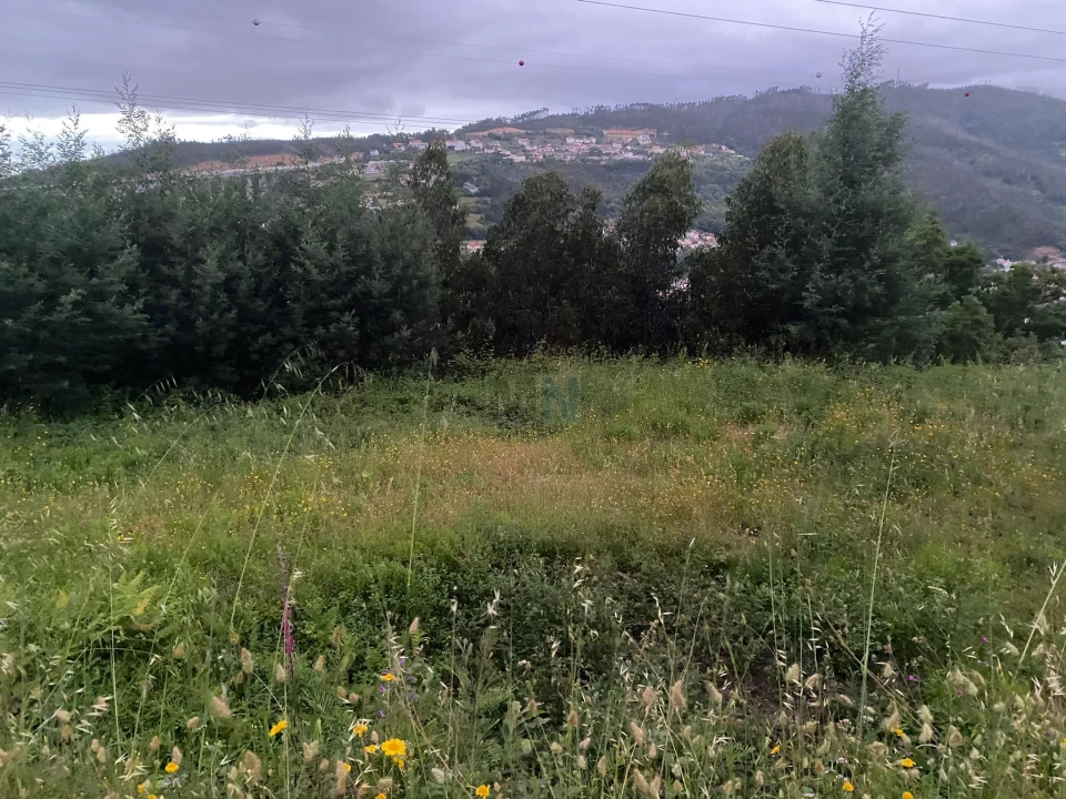 Terreno para Venda em Ceira Foto 10