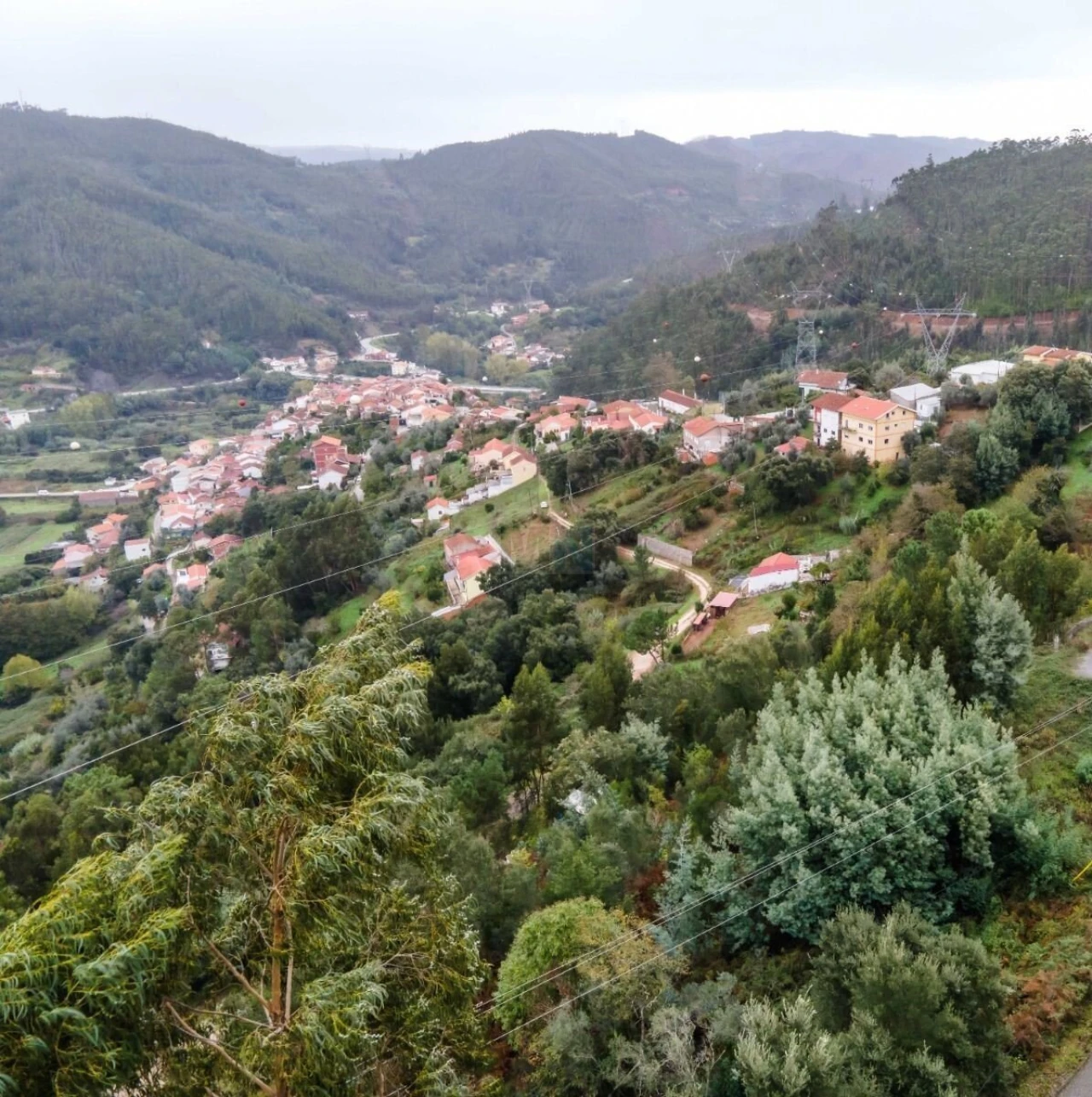 Terreno para Venda em Ceira Foto 9