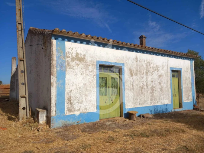 Quinta T2 para Venda em Serpa (Salvador e Santa Maria)
