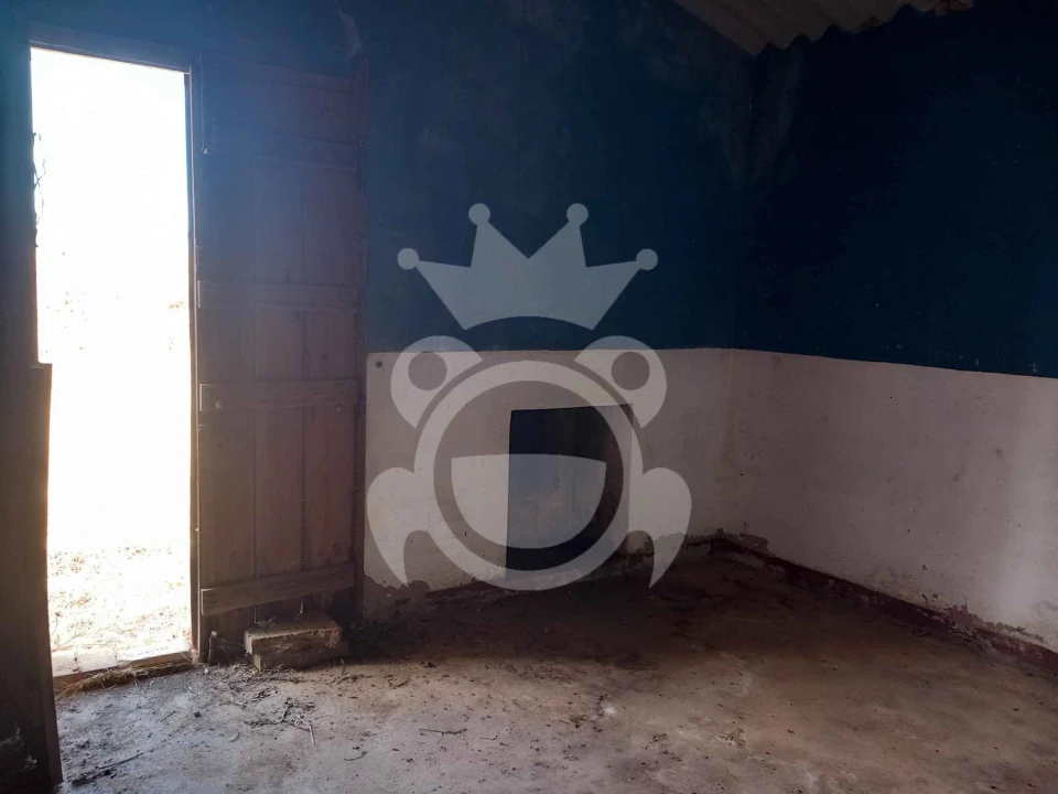 Quinta T2 para Venda em Serpa (Salvador e Santa Maria) Foto 11