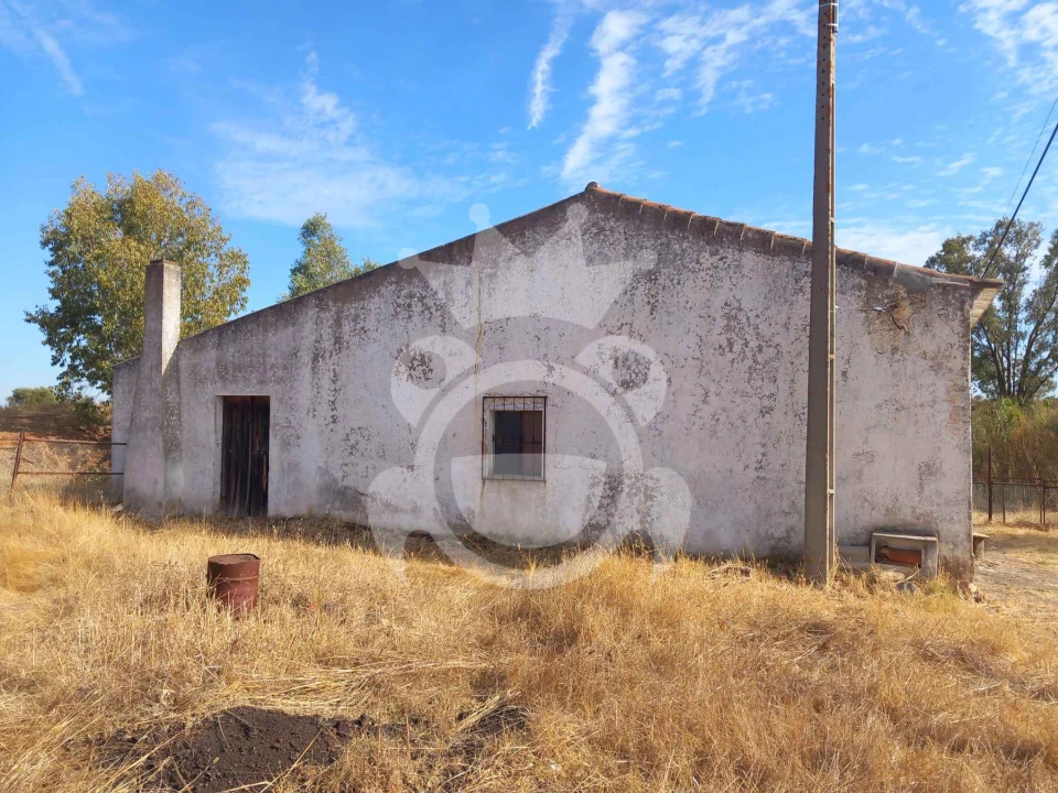 Quinta T2 para Venda em Serpa (Salvador e Santa Maria) Foto 3