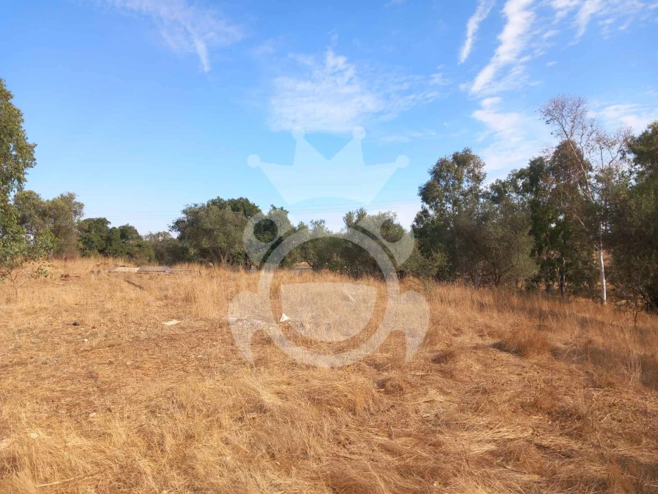 Quinta T2 para Venda em Serpa (Salvador e Santa Maria) Foto 14