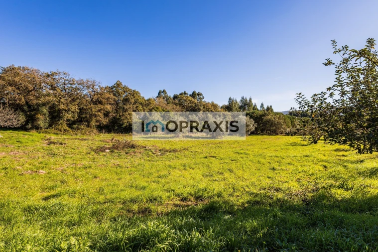 Moradia T3 para Venda em Pedreiras Foto 18