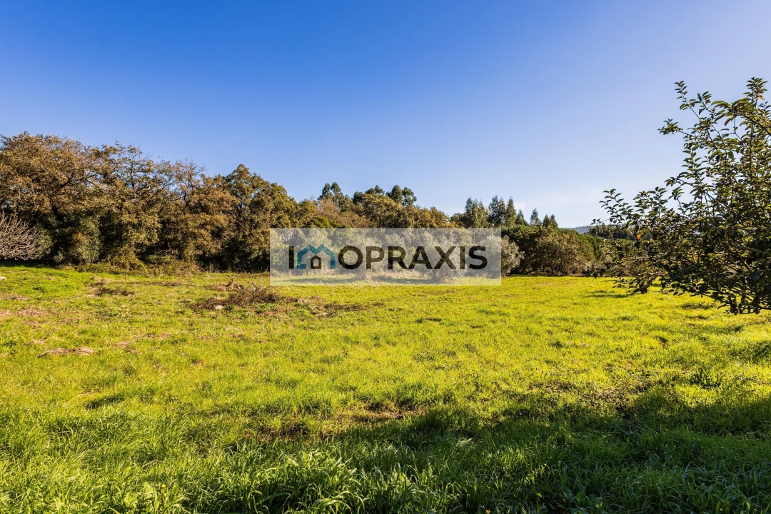 Moradia T3 para Venda em Pedreiras Foto 18