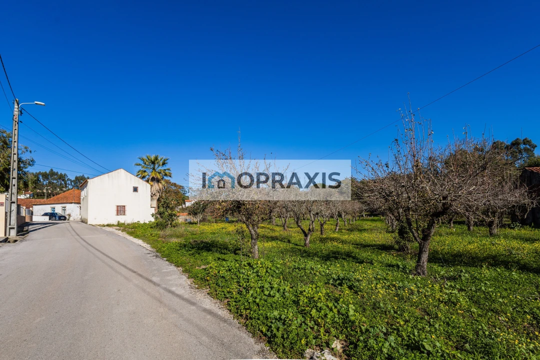 Moradia T3 para Venda em Pedreiras Foto 16