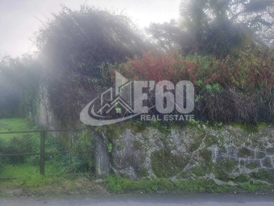 Quinta T6 para Venda em São João de Lourosa Foto 6