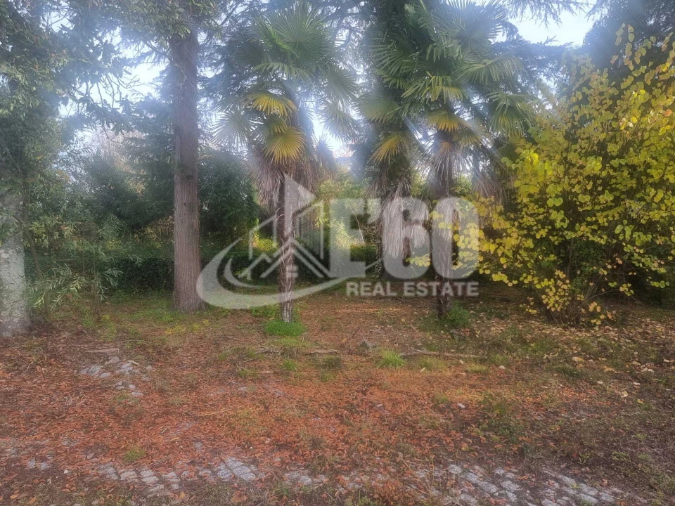 Quinta T6 para Venda em São João de Lourosa Foto 3