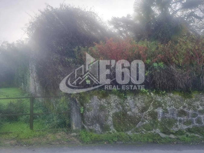 Quinta T6 para Venda em São João de Lourosa Foto 6